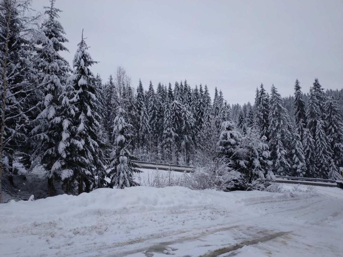 Садиба Mishel Yablunytsya Exterior foto