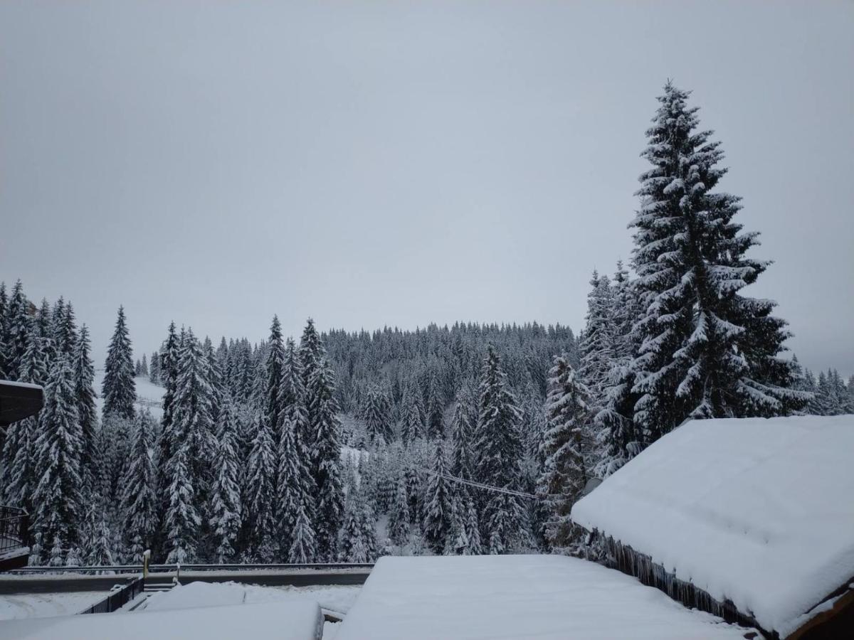 Садиба Mishel Yablunytsya Exterior foto
